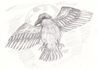 Raven Moon